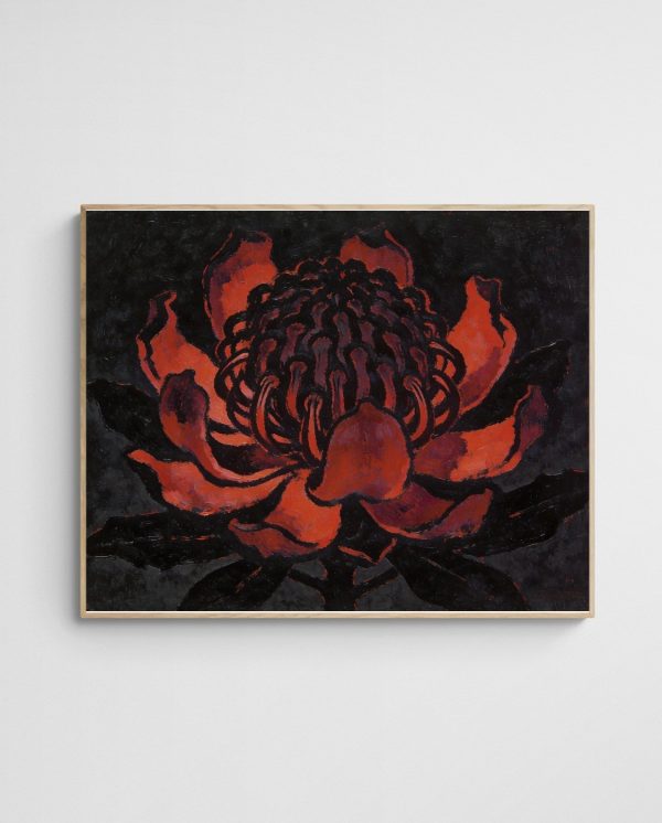 Waratah Noir Wall Art Waratah Noir art print with Wood 4-5 Landscape frame - high quality giclée print