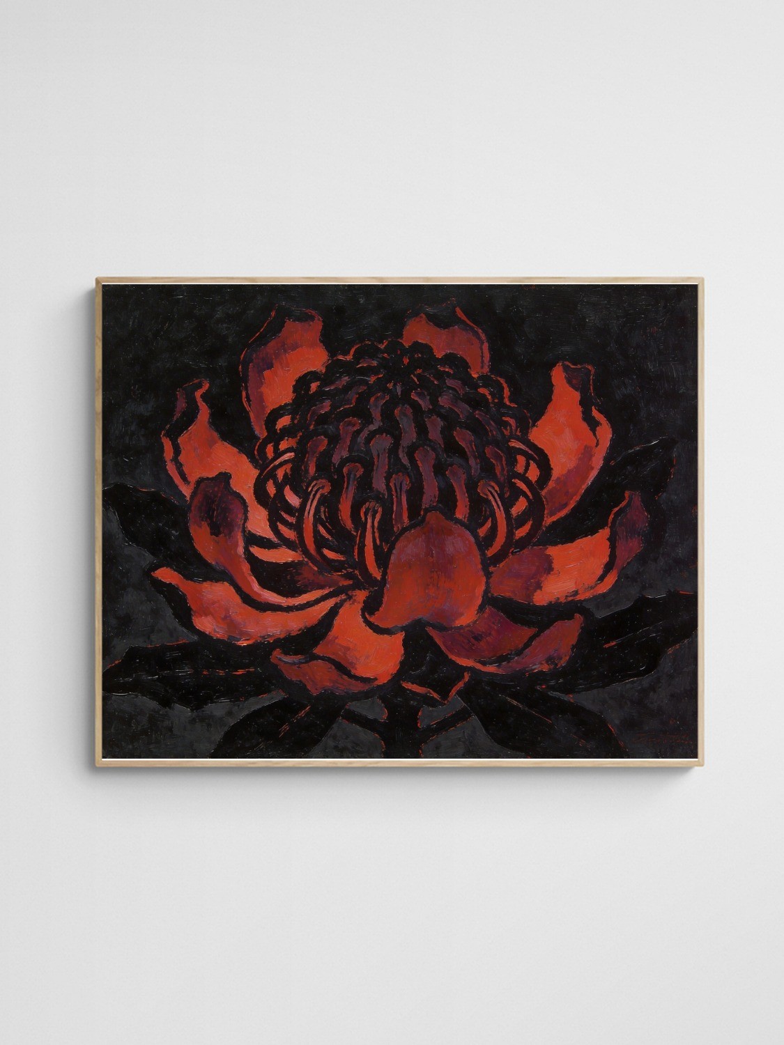 Waratah Noir Wall Art Waratah Noir art print with Wood 4-5 Landscape frame - high quality giclée print