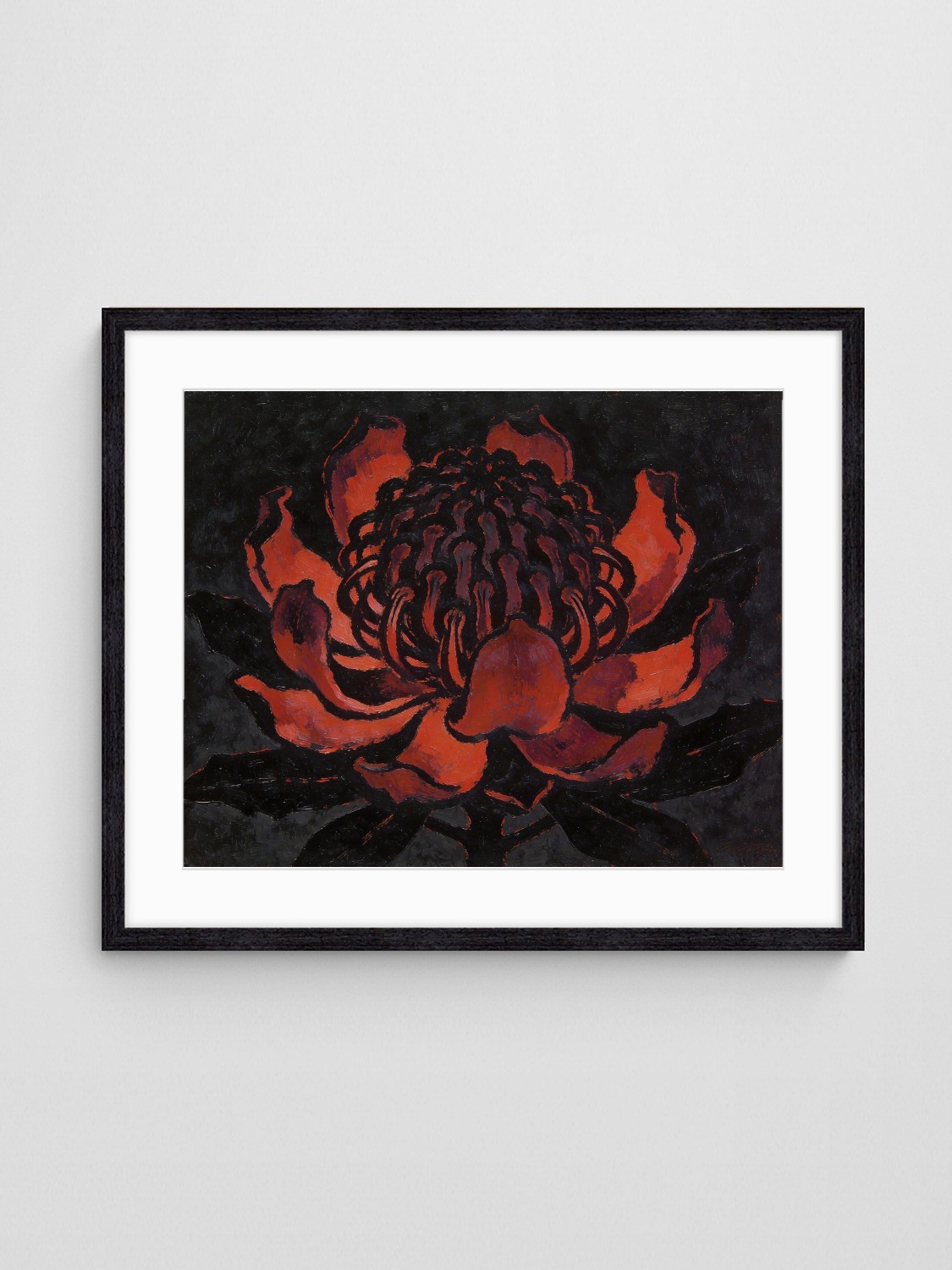 Waratah Noir Wall Art Waratah Noir art print with Black 4-5 Landscape frame - high quality giclée print