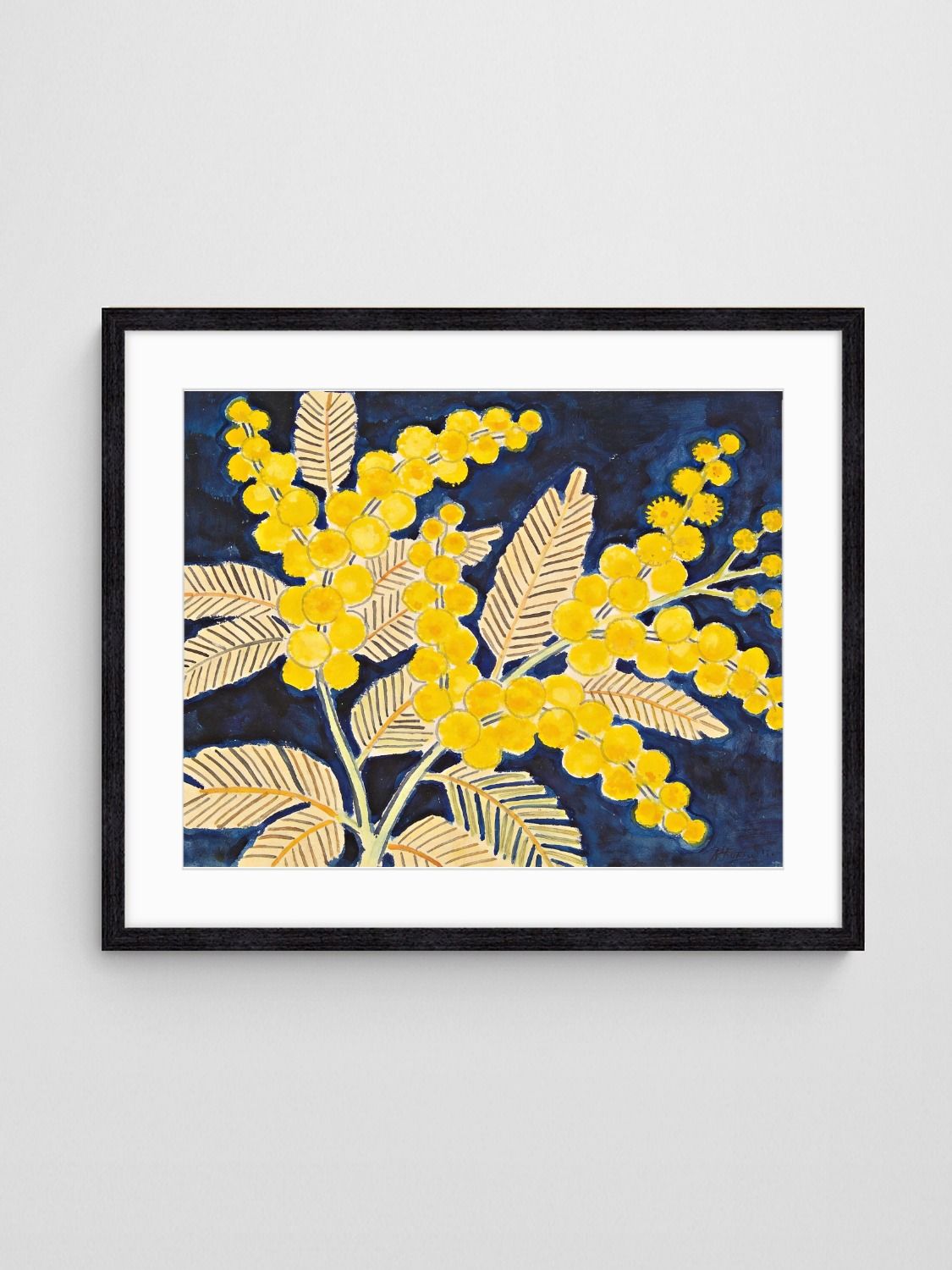 wattle australian native art Golden Wattle on Blue art print with Black 4-5 Landscape frame - high quality giclée print