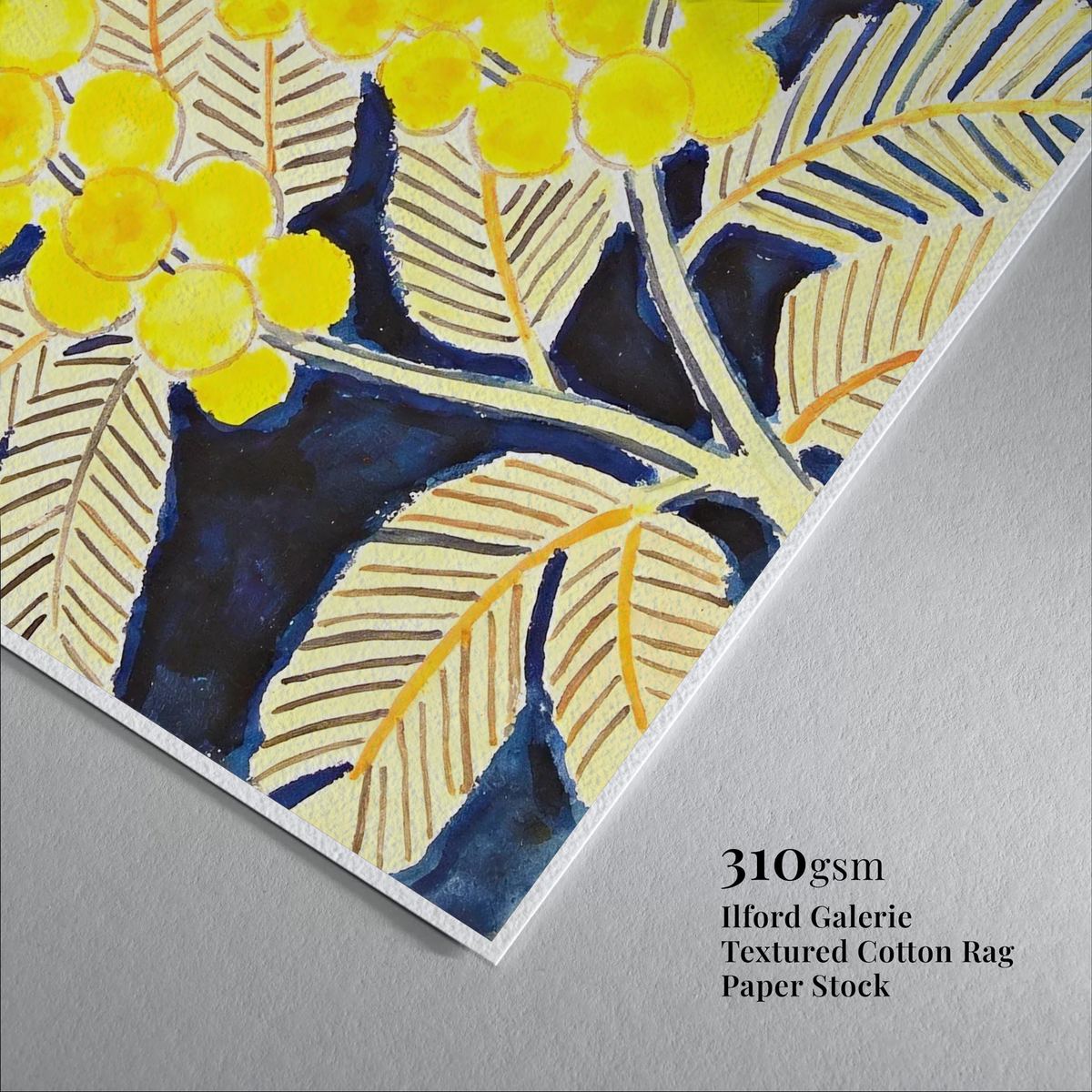 wattle australian native art Golden Wattle on Blue art print with framed frame - high quality giclée print