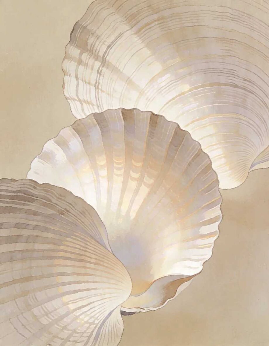 Sheel Shell Abstract Shining Shells - Neutral Coastal Abstract Art Print