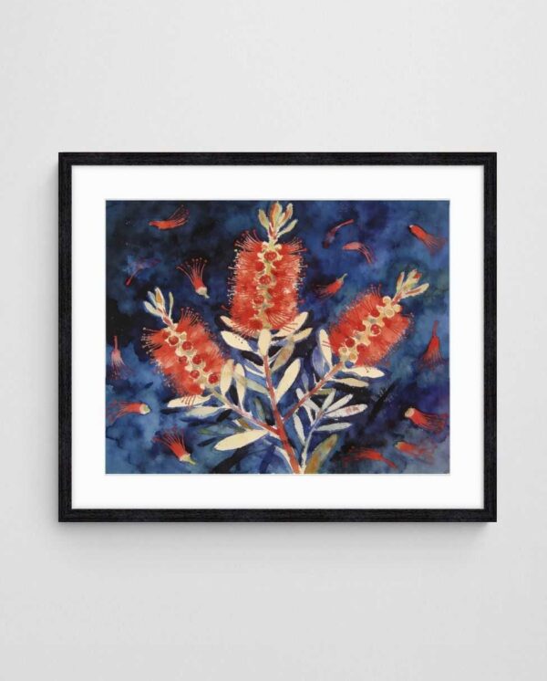australian floral abstract Bottlebrush on Indigo art print with Black 4-5 Landscape frame - high quality giclée print